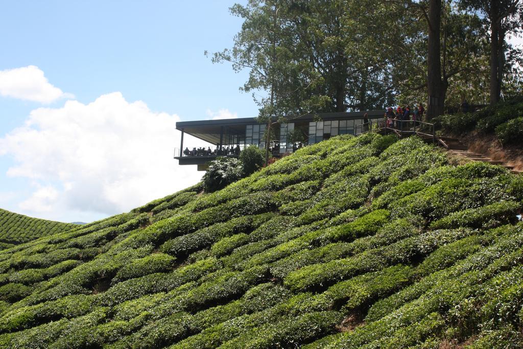 Cameron Strawberry Residence Cameron Highlands Eksteriør billede