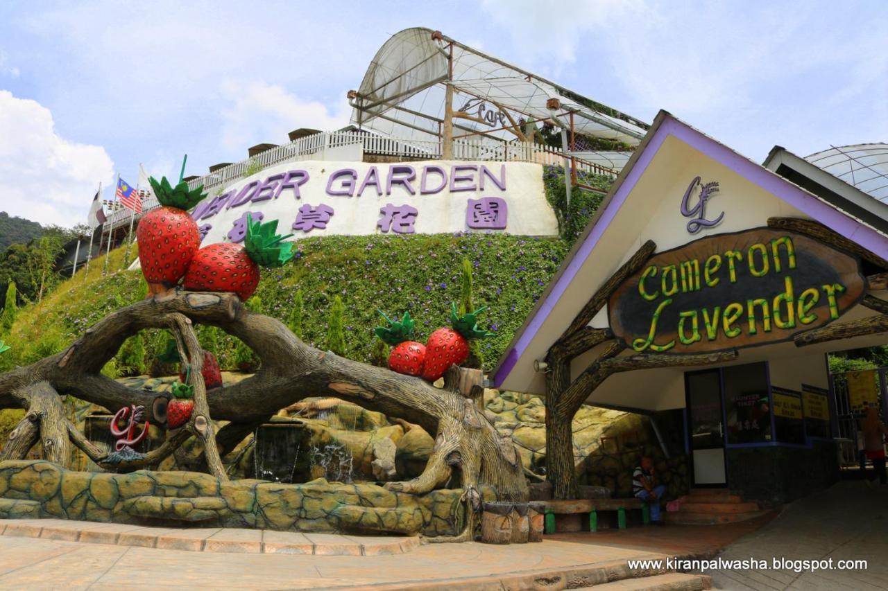 Cameron Strawberry Residence Cameron Highlands Eksteriør billede